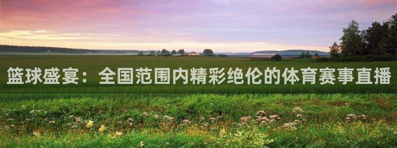 篮球盛宴：全国范围内精彩绝伦的体育赛事直播
