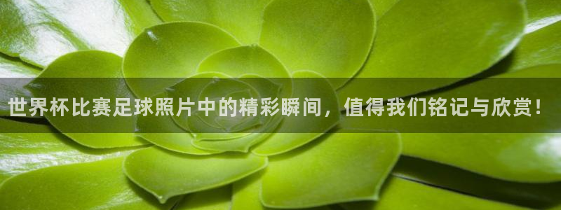 世界杯比赛足球照片中的精彩瞬间，值得我们铭记与欣赏！
