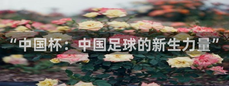 “中国杯：中国足球的新生力量”