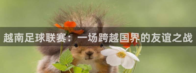 越南足球联赛：一场跨越国界的友谊之战