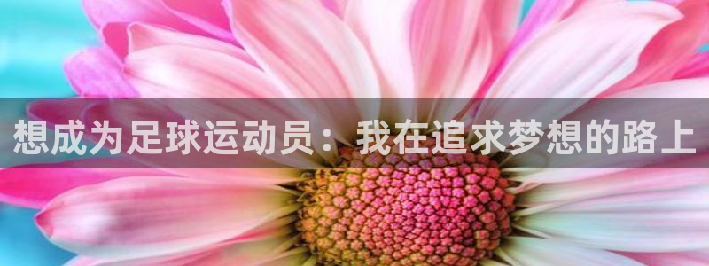 想成为足球运动员：我在追求梦想的路上