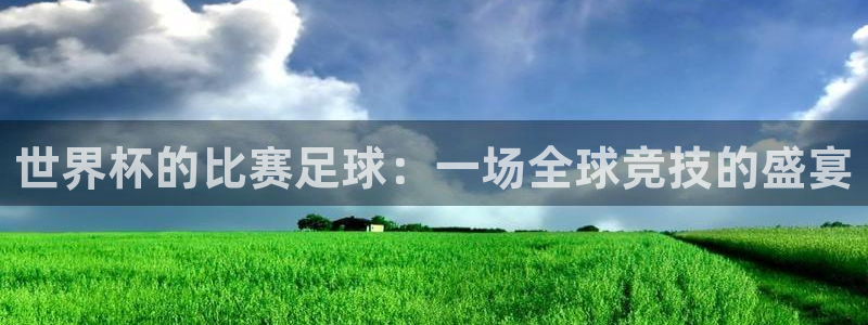 世界杯的比赛足球：一场全球竞技的盛宴