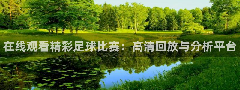 在线观看精彩足球比赛：高清回放与分析平台