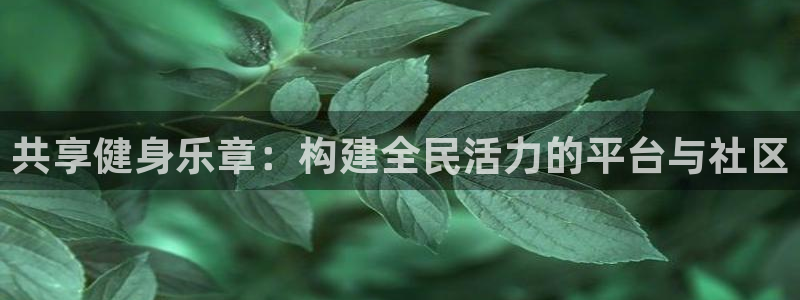 共享健身乐章：构建全民活力的平台与社区